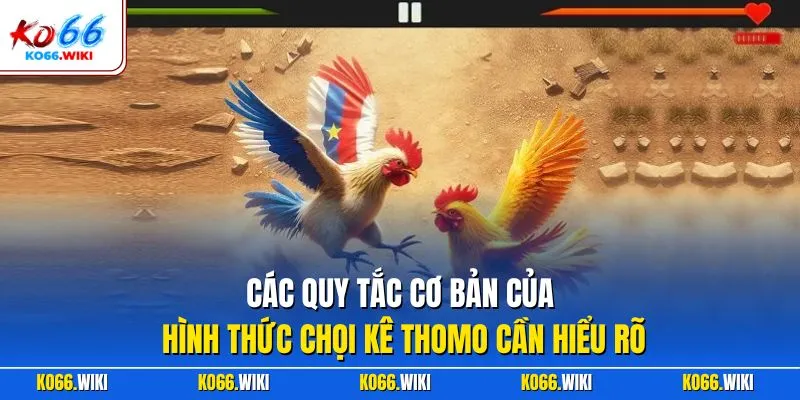 Các quy tắc cơ bản của hình thức chọi kê Thomo cần hiểu rõ
