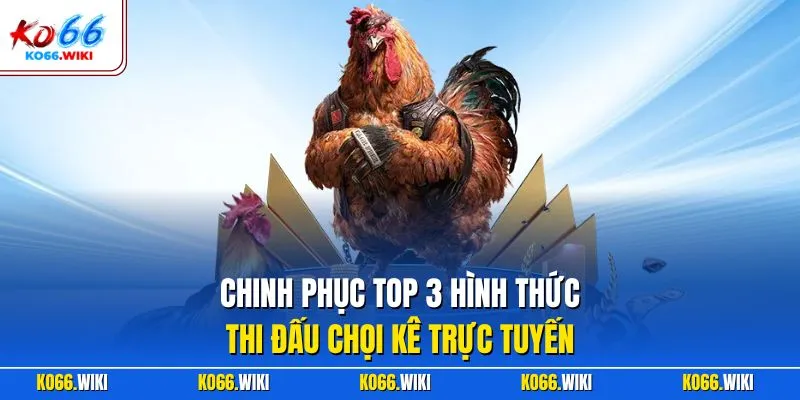 Chinh phục top 3 hình thức thi đấu chọi kê trực tuyến