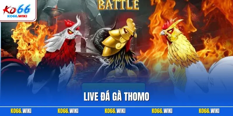 Live đá gà Thomo