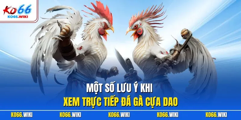  Một số lưu ý khi xem trực tiếp đá gà cựa dao