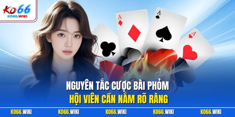 Nguyên tắc cược bài Phỏm hội viên cần nắm rõ ràng
