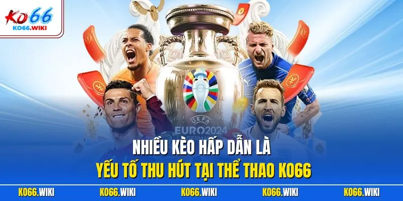 Nhiều kèo hấp dẫn là yếu tố thu hút tại thể thao KO66