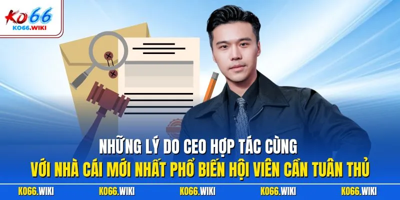 Những lý do CEO hợp tác cùng với nhà cái mới nhất