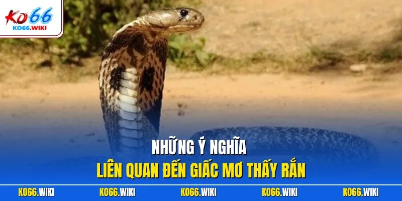 Những ý nghĩa liên quan đến giấc mơ thấy rắn