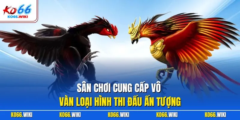 Sân chơi cung cấp vô vàn loại hình thi đấu ấn tượng