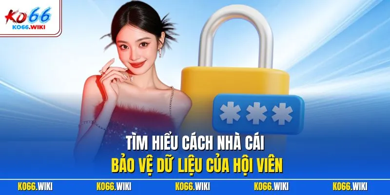 Tìm hiểu cách nhà cái bảo vệ dữ liệu của hội viên