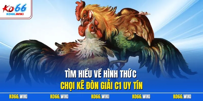 Tìm hiểu về hình thức chọi kê đòn giải C1 uy tín