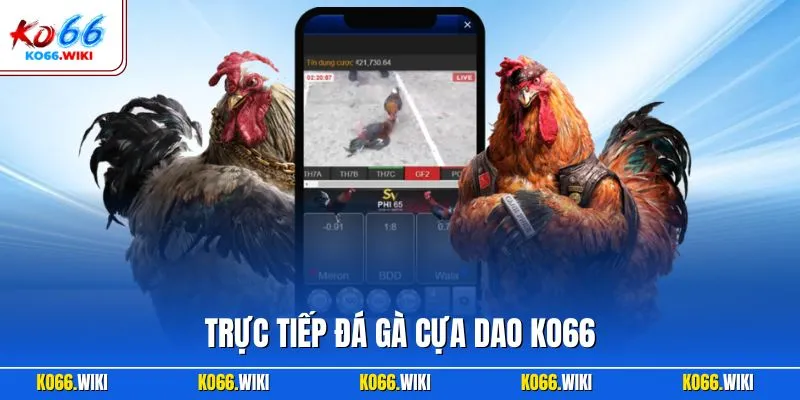 Trực tiếp đá gà cựa dao