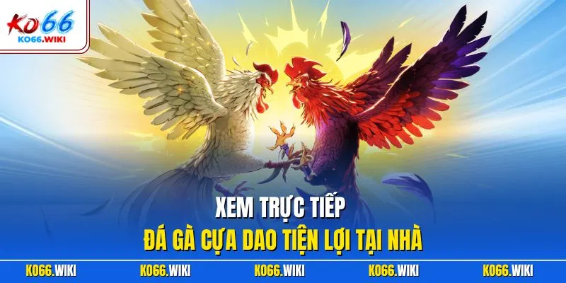 Xem trực tiếp đá gà cựa dao tiện lợi tại nhà